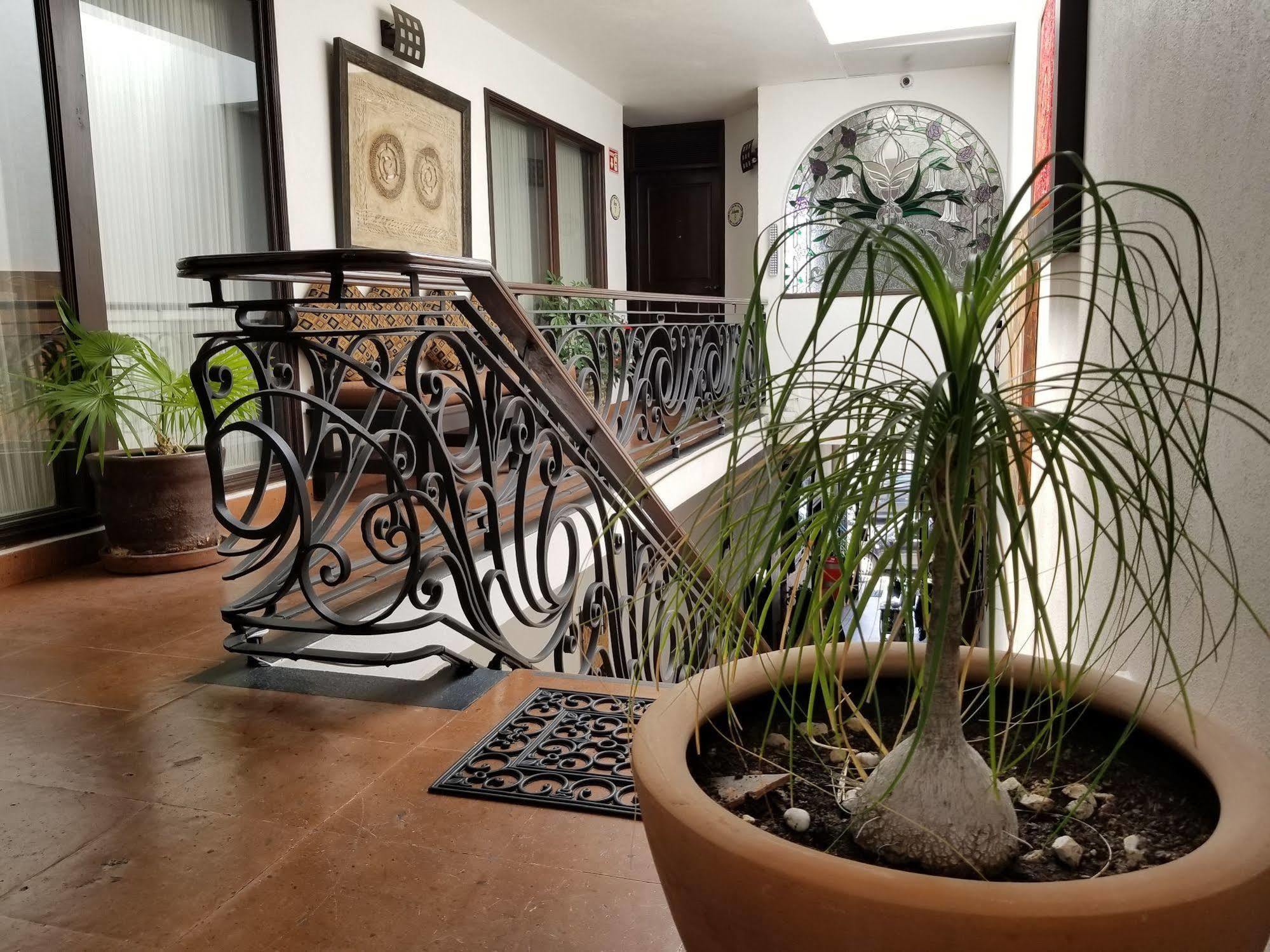 Sofia 3* Querétaro